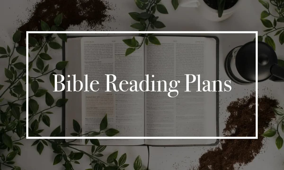 Open Bible representing free Bible reading plans